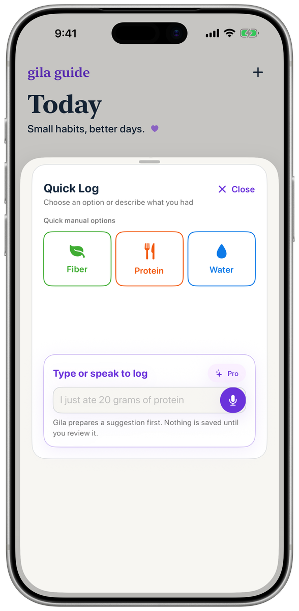 Gila Guide Quick Log with manual and voice logging options